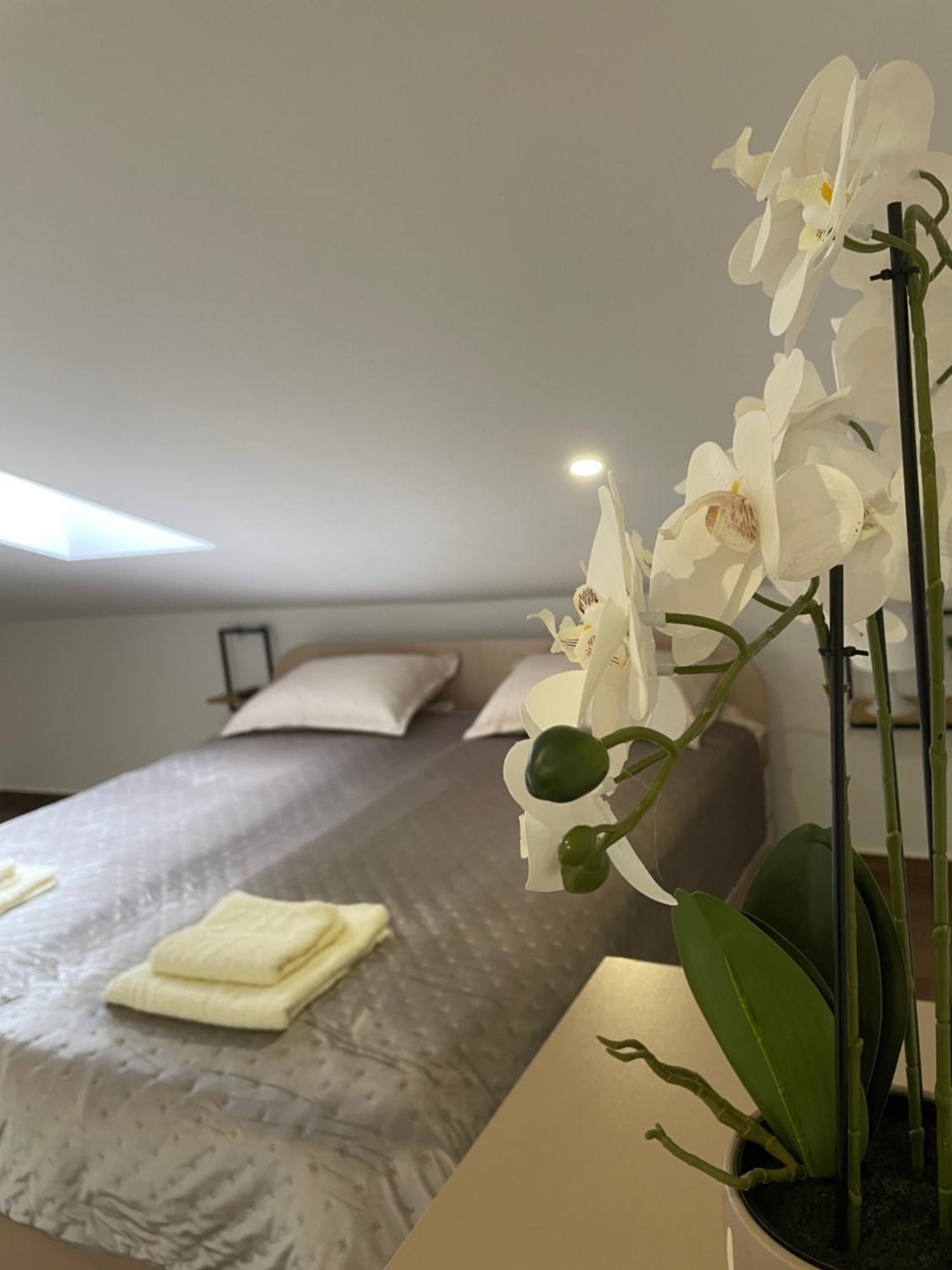 Joy Apartment 6 Beograd Eksteriør bilde